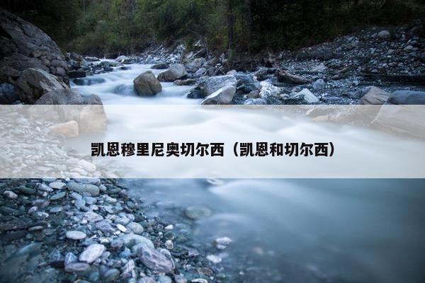 凯恩穆里尼奥切尔西（凯恩和切尔西）