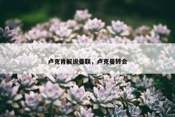 卢克肖解说曼联，卢克曼转会