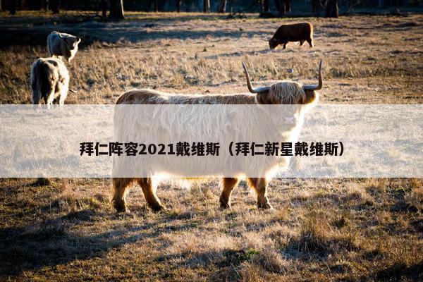 拜仁阵容2021戴维斯（拜仁新星戴维斯）