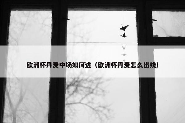 欧洲杯丹麦中场如何进（欧洲杯丹麦怎么出线）