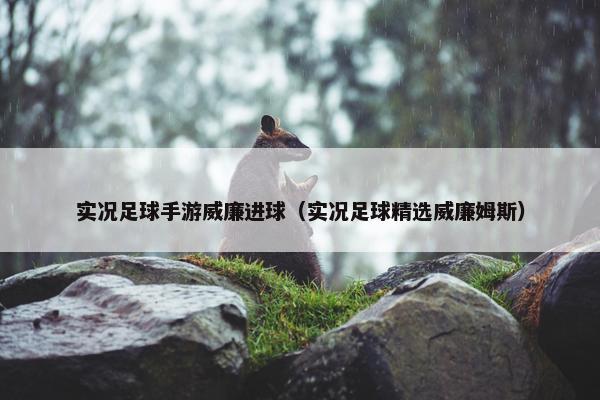 实况足球手游威廉进球（实况足球精选威廉姆斯）