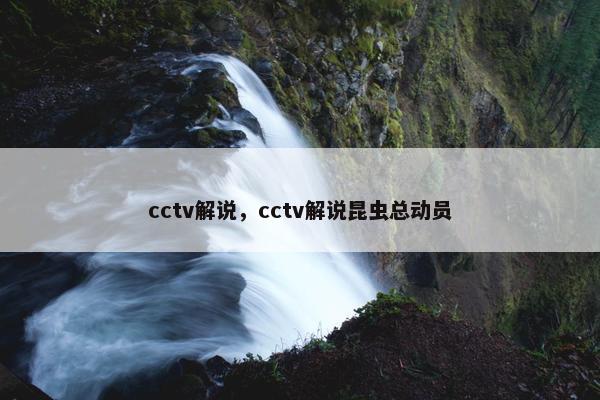 cctv解说，cctv解说昆虫总动员