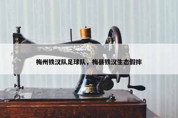 梅州铁汉队足球队，梅县铁汉生态假摔
