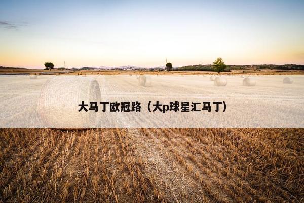 大马丁欧冠路（大p球星汇马丁）