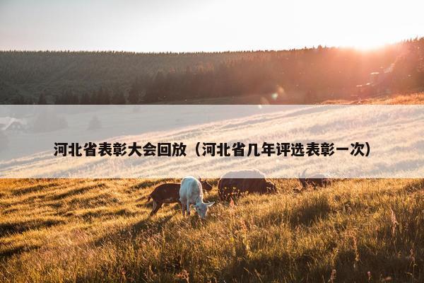 河北省表彰大会回放(河北省几年评选表彰一次) 河北省表彰大会回放(河北省几年评选表彰一次)