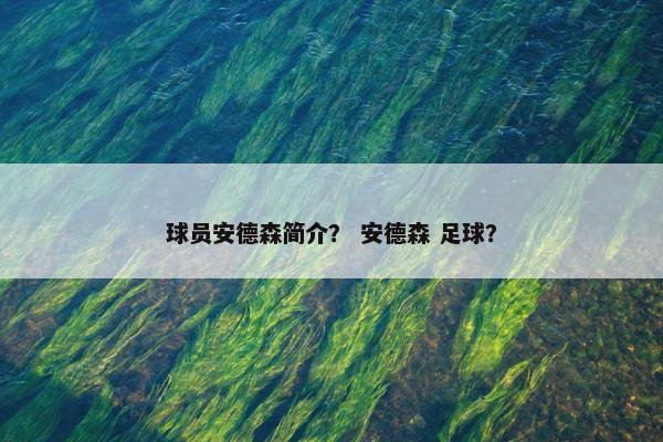 球员安德森简介？ 安德森 足球？
