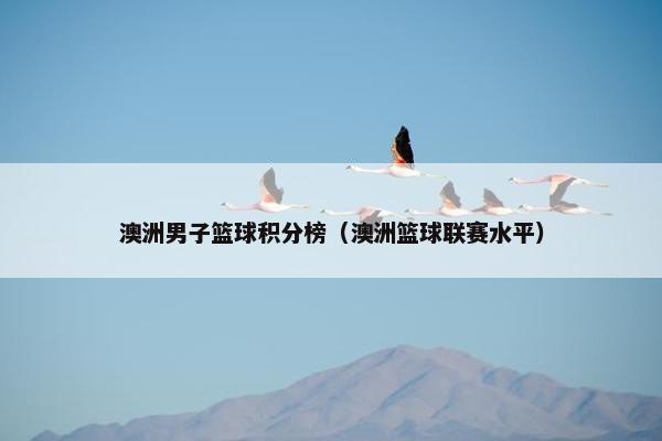 澳洲男子篮球积分榜（澳洲篮球联赛水平）