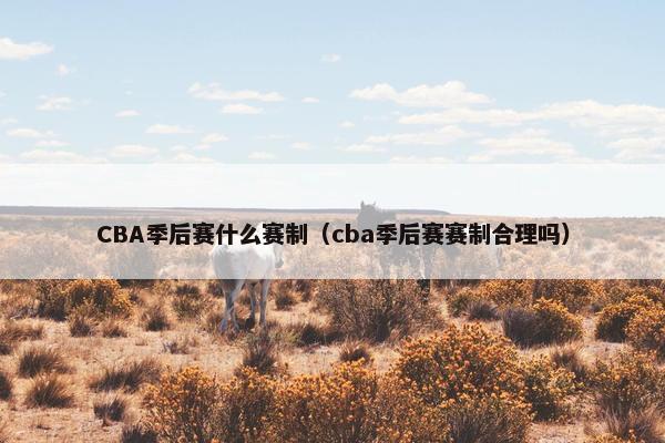 CBA季后赛什么赛制（cba季后赛赛制合理吗）