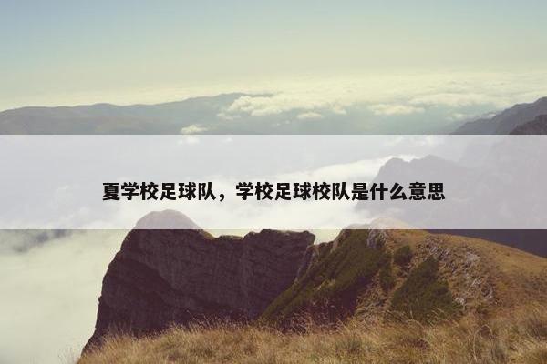 夏学校足球队，学校足球校队是什么意思