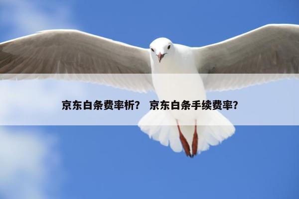 京东白条费率析？ 京东白条手续费率？