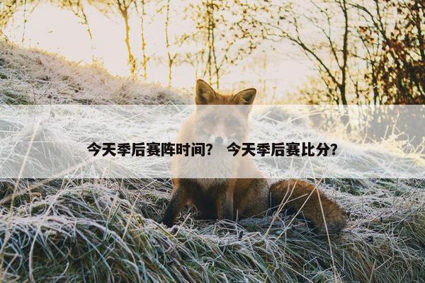 今天季后赛阵时间？ 今天季后赛比分？