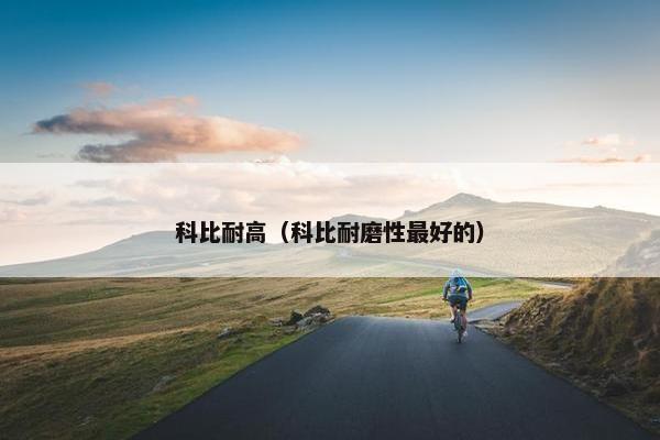 科比耐高（科比耐磨性最好的）