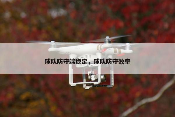 球队防守端稳定，球队防守效率