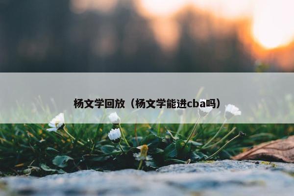 杨文学回放（杨文学能进cba吗）