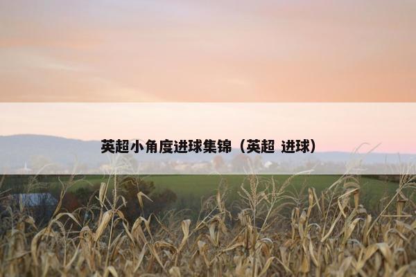 英超小角度进球集锦（英超 进球）
