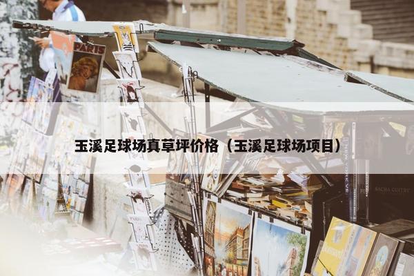 玉溪足球场真草坪价格（玉溪足球场项目）