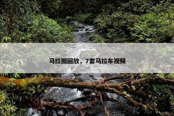 马拉圈回放，7套马拉车视频