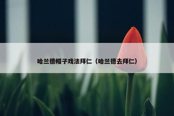 哈兰德帽子戏法拜仁（哈兰德去拜仁）