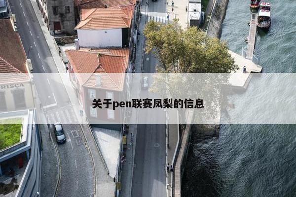 关于pen联赛凤梨的信息