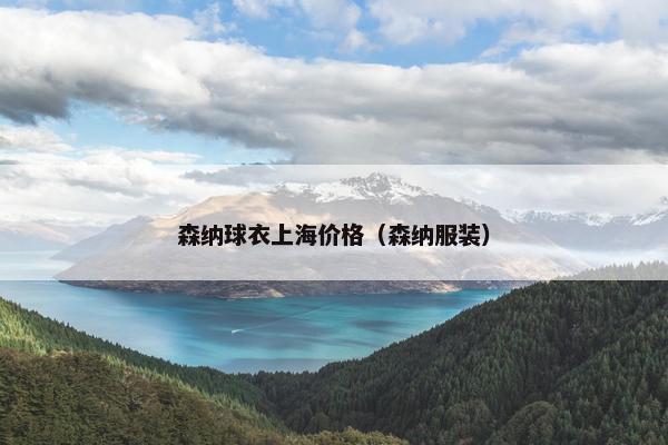 森纳球衣上海价格（森纳服装）