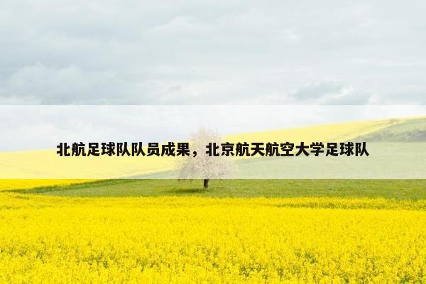 北航足球队队员成果，北京航天航空大学足球队