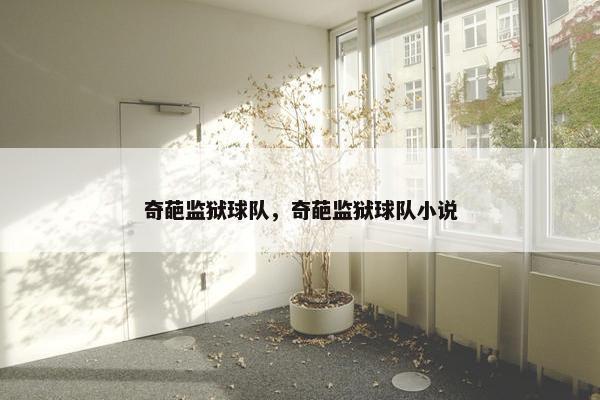 奇葩监狱球队，奇葩监狱球队小说