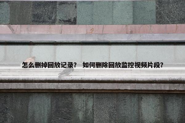 怎么删掉回放记录？ 如何删除回放监控视频片段？