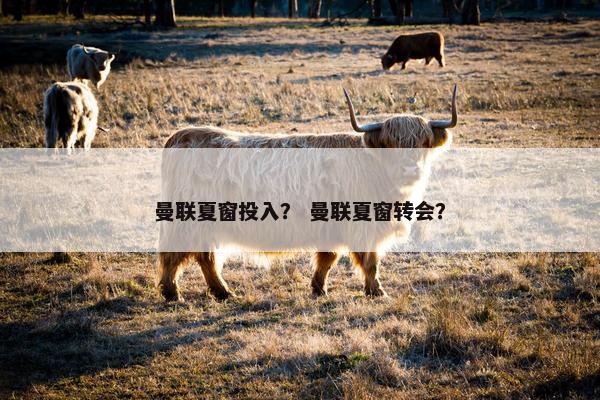 曼联夏窗投入？ 曼联夏窗转会？