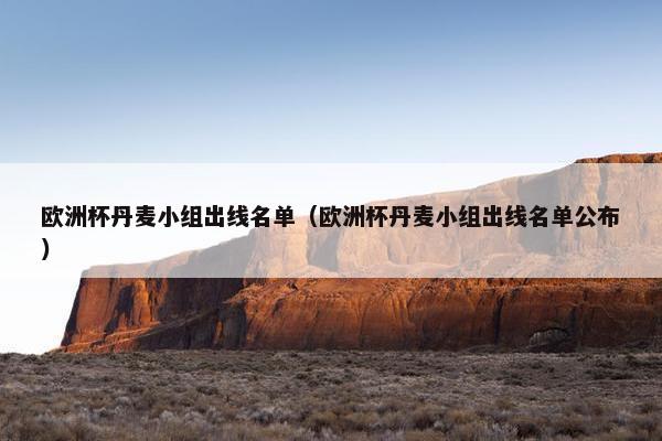 欧洲杯丹麦小组出线名单（欧洲杯丹麦小组出线名单公布）