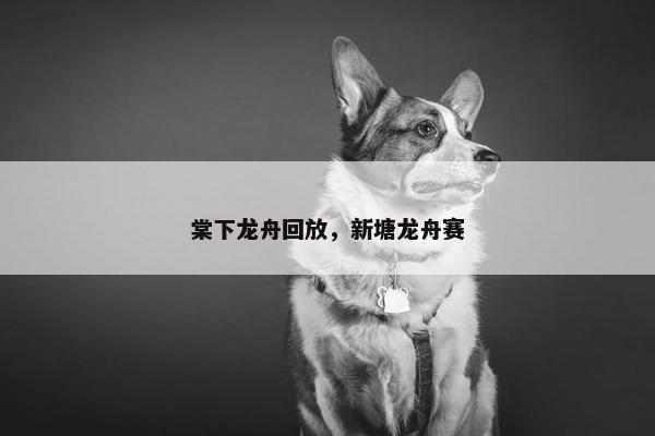棠下龙舟回放，新塘龙舟赛