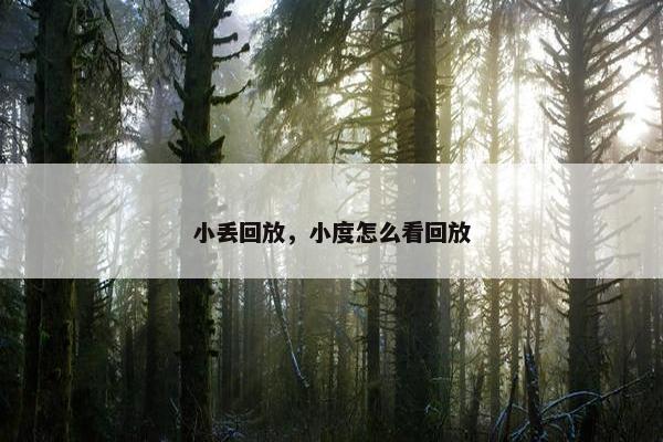 小丢回放，小度怎么看回放