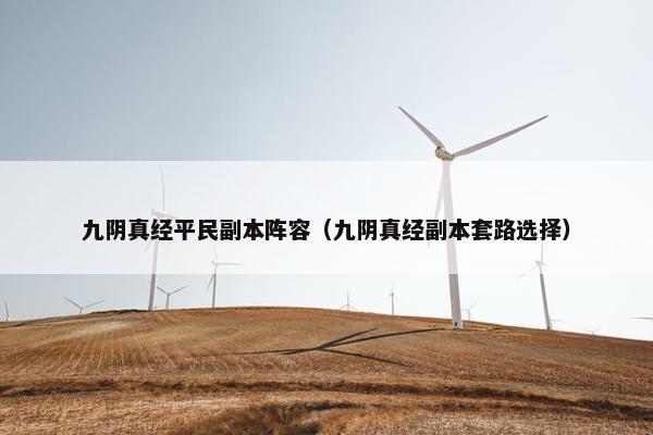 九阴真经平民副本阵容（九阴真经副本套路选择）