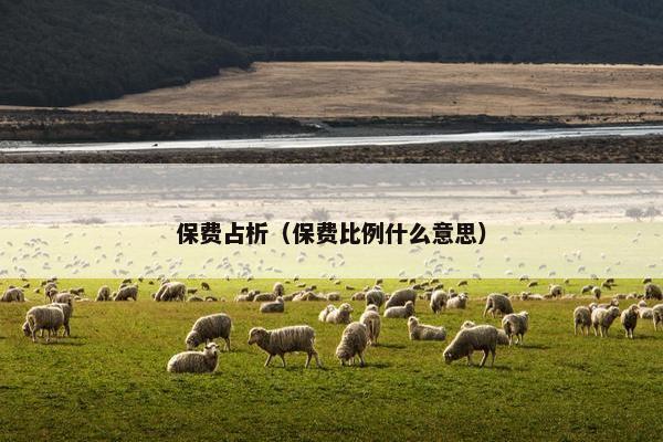 保费占析（保费比例什么意思）