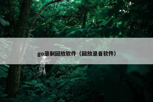 go录制回放软件（回放录音软件）