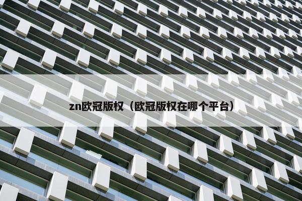 zn欧冠版权（欧冠版权在哪个平台）