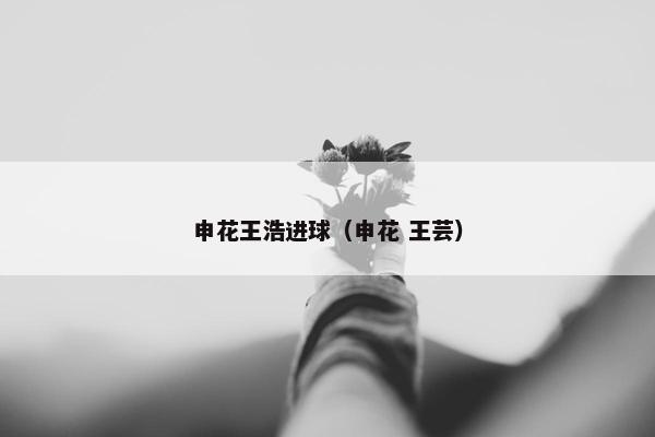 申花王浩进球（申花 王芸）