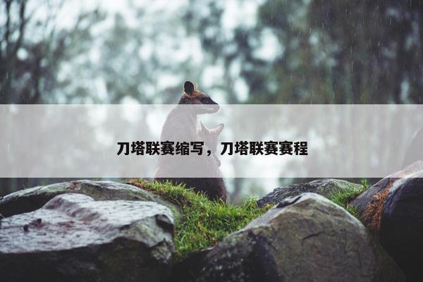 刀塔联赛缩写，刀塔联赛赛程