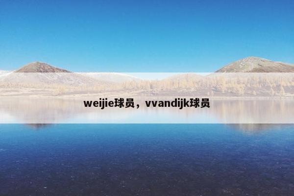 weijie球员，vvandijk球员