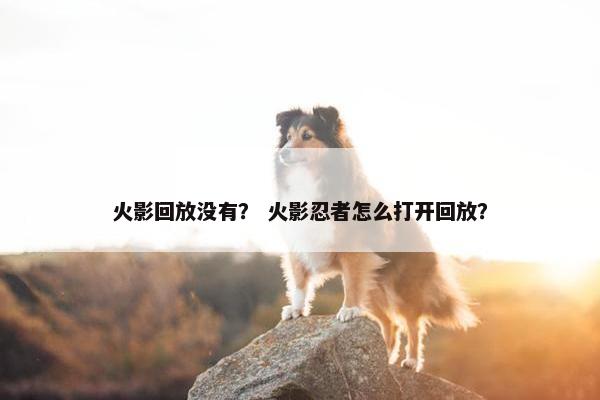 火影回放没有？ 火影忍者怎么打开回放？