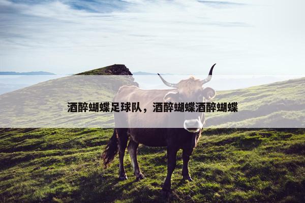 酒醉蝴蝶足球队，酒醉蝴蝶酒醉蝴蝶