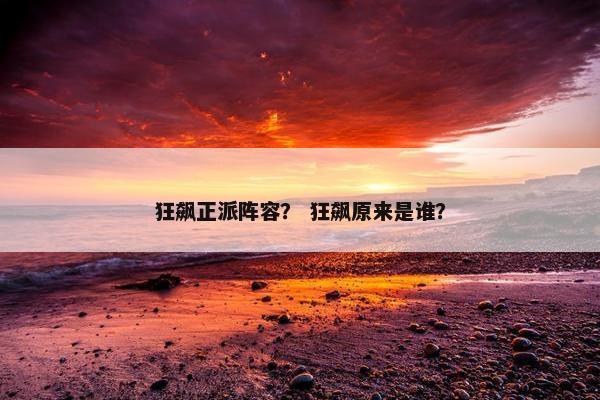 狂飙正派阵容？ 狂飙原来是谁？