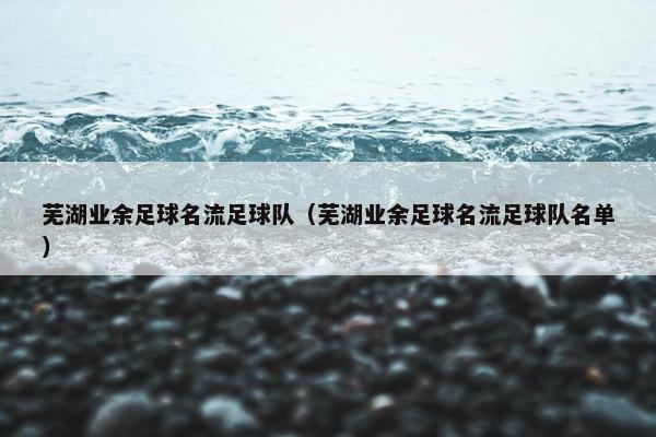 芜湖业余足球名流足球队（芜湖业余足球名流足球队名单）
