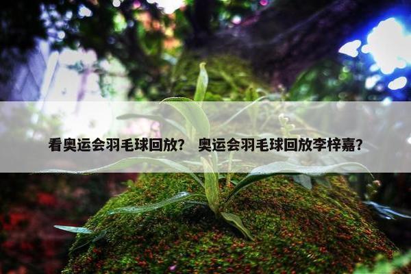 看奥运会羽毛球回放？ 奥运会羽毛球回放李梓嘉？