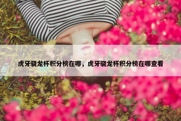 虎牙骁龙杯积分榜在哪，虎牙骁龙杯积分榜在哪查看