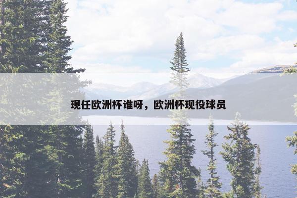 现任欧洲杯谁呀，欧洲杯现役球员