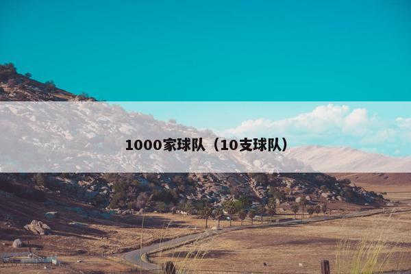 1000家球队（10支球队）