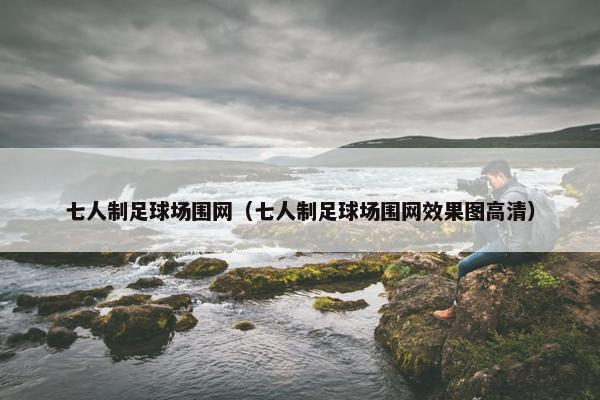 七人制足球场围网（七人制足球场围网效果图高清）