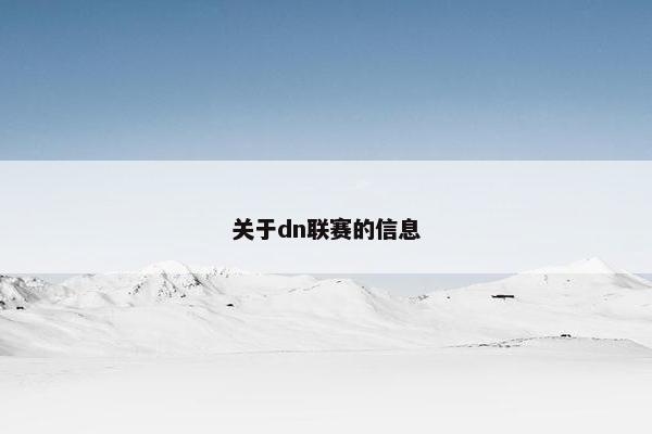 关于dn联赛的信息