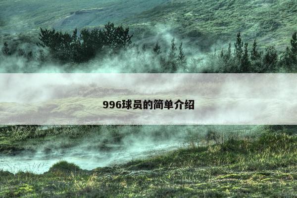996球员的简单介绍