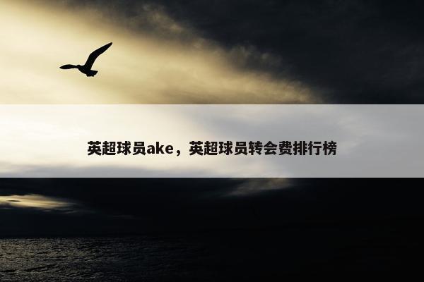 英超球员ake，英超球员转会费排行榜
